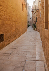 Obraz premium Malta, Valletta, Gozo, Medina, Harobor, Salut Battery, architecture, travel, Mediteraen See, 