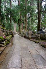 It is considered the largest cemetery in Japan, with more than two hundred thousand graves and memorial monuments. It is located on the sacred Mt. Koya and is immersed in a forest of tall conifers.