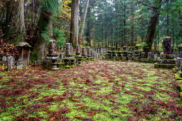 It is considered the largest cemetery in Japan, with more than two hundred thousand graves and memorial monuments. It is located on the sacred Mt. Koya and is immersed in a forest of tall conifers.