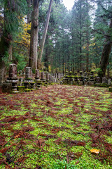 It is considered the largest cemetery in Japan, with more than two hundred thousand graves and memorial monuments. It is located on the sacred Mt. Koya and is immersed in a forest of tall conifers.