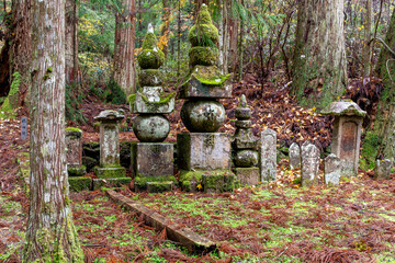 It is considered the largest cemetery in Japan, with more than two hundred thousand graves and memorial monuments. It is located on the sacred Mt. Koya and is immersed in a forest of tall conifers.