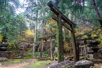 It is considered the largest cemetery in Japan, with more than two hundred thousand graves and memorial monuments. It is located on the sacred Mt. Koya and is immersed in a forest of tall conifers.