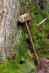 It is considered the largest cemetery in Japan, with more than two hundred thousand graves and memorial monuments. It is located on the sacred Mt. Koya and is immersed in a forest of tall conifers.
