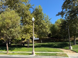 Ornate Lamp Post in Park: A classic, vintage-style lamp post stands next to a lush green grassy area in a public park.