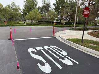Stop Sign Intersection: A red octagonal stop sign at a street intersection, protected by sturdy safety bollards.