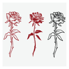 Set of Rose Vector Illustration - Vintage Classic Style 