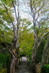 京都大原寂光院の参道風景