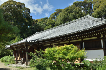 浄瑠璃寺　本堂(京都府木津川市)