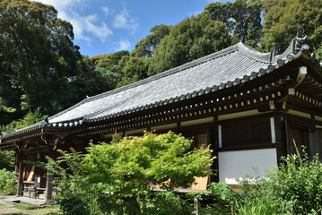 浄瑠璃寺　本堂(京都府木津川市)