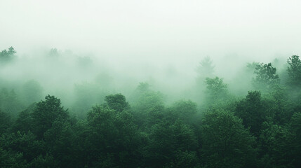 Deep forest green gradient blending softly into mint and light sage creating a fresh natural abstract background evoking calm harmony nature inspired digital aesthetic