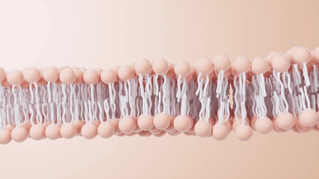Cell membrane structure background, 3d rendering 4k