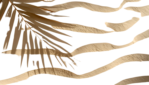 A dried palm leaf over abstract, tan, curved, and striped shapes on a black background