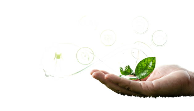 Human hand cradles a leaf with an infinity loop of ecological symbols