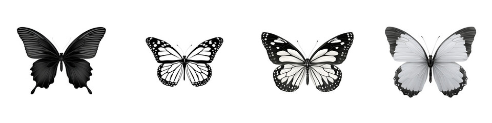 Obraz premium Butterfly Collection: Monochrome Moths with Decorative Patterns on Wings
