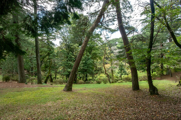 栃木県宇都宮市の八幡山公園