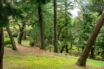 栃木県宇都宮市の八幡山公園