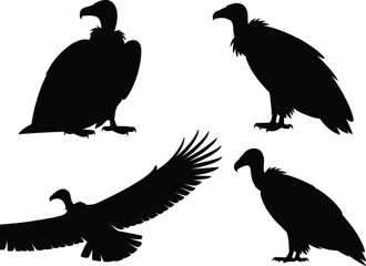 Vulture bird silhouette vector illustration, flying and perched vultures in black isolated design, wildlife scavenger birds artwork, animal silhouette collection for nature art