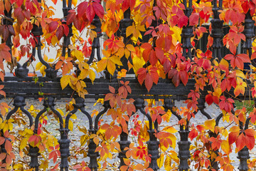 27 October 2025 Almaty City, Kazakhstan