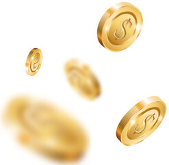 Golden Coin Decorative PNG 