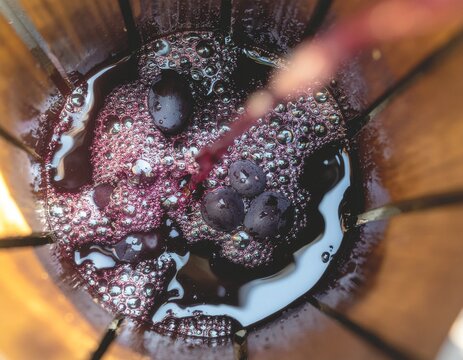 A close-up of a brown spider on a white background, highlighting its macro details and multiple eyes