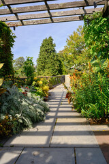 Obraz premium View from inside a wooden pergola, with beams overhead casting patterned shadows onto the stone slabs. Below, flowering plants and climbing greenery, in the distance, tall trees and stone balustrades