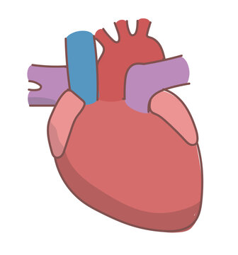 シンプルな心臓のイラスト