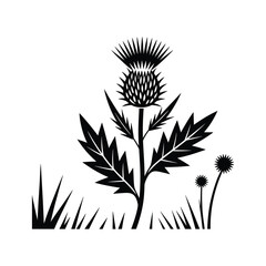 Black silhouette of a thistle plant with spiky leaves and flower head surrounded by grass and smaller plants on a white background.