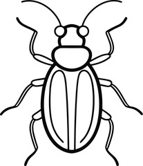 Beetle and insect sketches line art transparent background