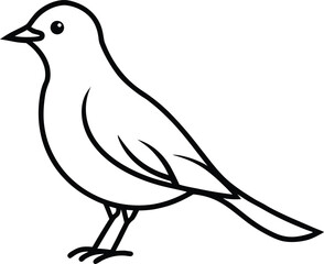 Bird silhouettes line art transparent background