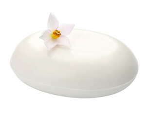 Oval Soap Bar Isolated on White Background