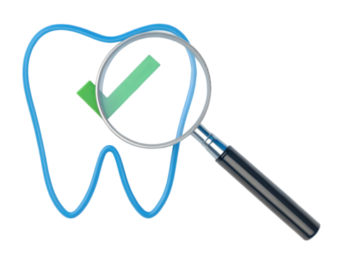 Tooth with magnifying glass and check mark isolated on transparent background
