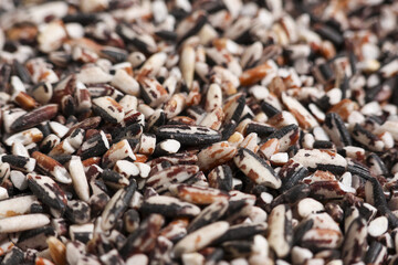 Close up macro view of three colour brown rice blend. natural, raw, organic mix of black, white, and red grain providing wholesome, healthy food for balanced diet