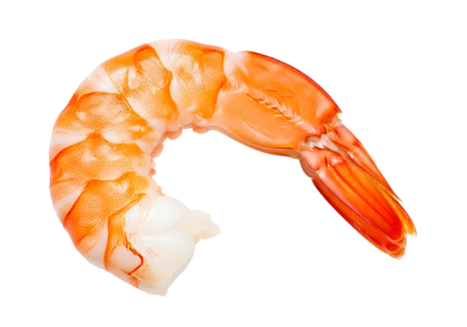 A close-up macro shot of a cooked shrimp on a white background