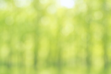 Obraz premium Abstract Blurred Green Background Depicting Nature, Environment, and Growth for Various Creative and Commercial Applications