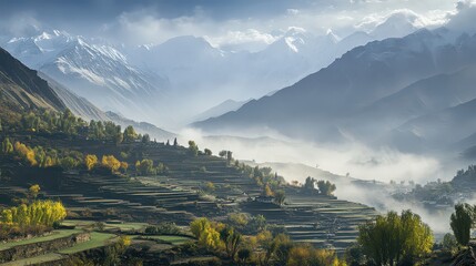 Terraced fields in a misty valley of the himalayas with snowcapped peaks