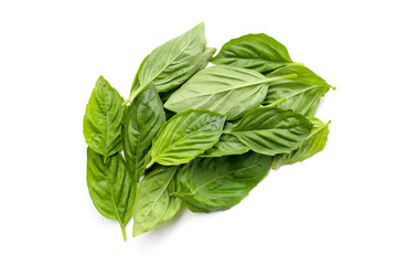 Basil leaves on white background.