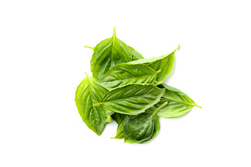 Basil leaves on white background.