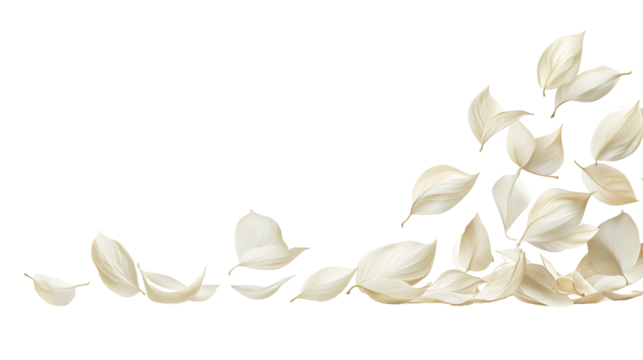 Delicate white petals cascade and drift, creating a soft, ethereal effect on black - Powered by Adobe