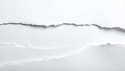 Torn paper texture background with rough edges and a clean white surface creating a distressed abstract graphic design element for creative projects and copy space