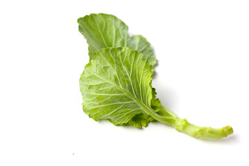 Collard greens or Chinese Kale