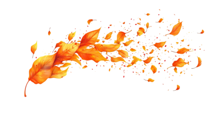 Orange autumn leaves blowing across a black backdrop, stylized and dynamic