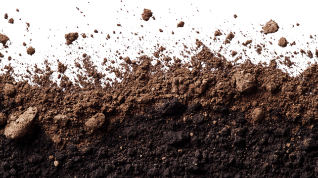 Section view revealing layers of soil, varying in texture and color, with loose pieces