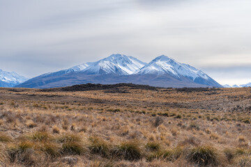 Fototapeta premium Views of alpine tussock land and mountains on shore of Lake Clearwater from the circuit track around the lake