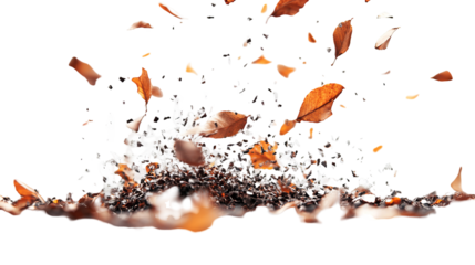Autumnal leaves in mid-air, swirling above a bed of soil, against a black void