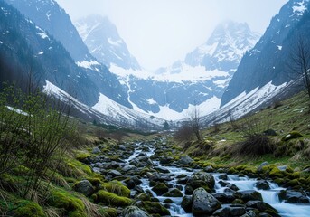 Obraz premium Majestic mountain valley with rocky stream flowing through mossy banks and towering snow peaks.
