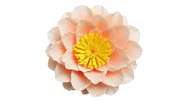 Delicate Peach Paper Flower With Yellow Center On Black Background