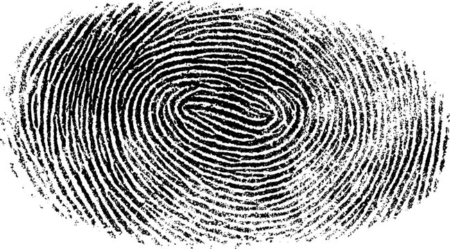  fingerprint patterns in a close-up shot, fingerprint vector illustration