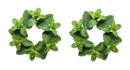 Fresh Mint Leaf Circles On Black Background