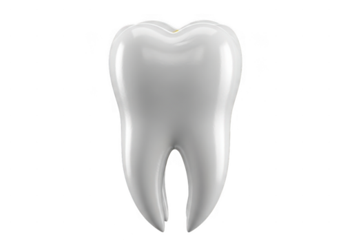 Image of a molar tooth isolated on a transparent background. Realistic 3D image of a human molar tooth