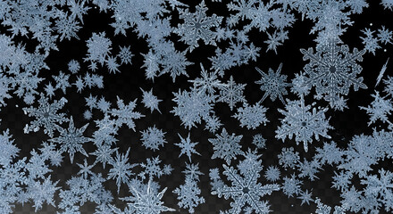 Detailed close-up of numerous ice crystals, showcasing intricate snowflake structures, against a dark background.